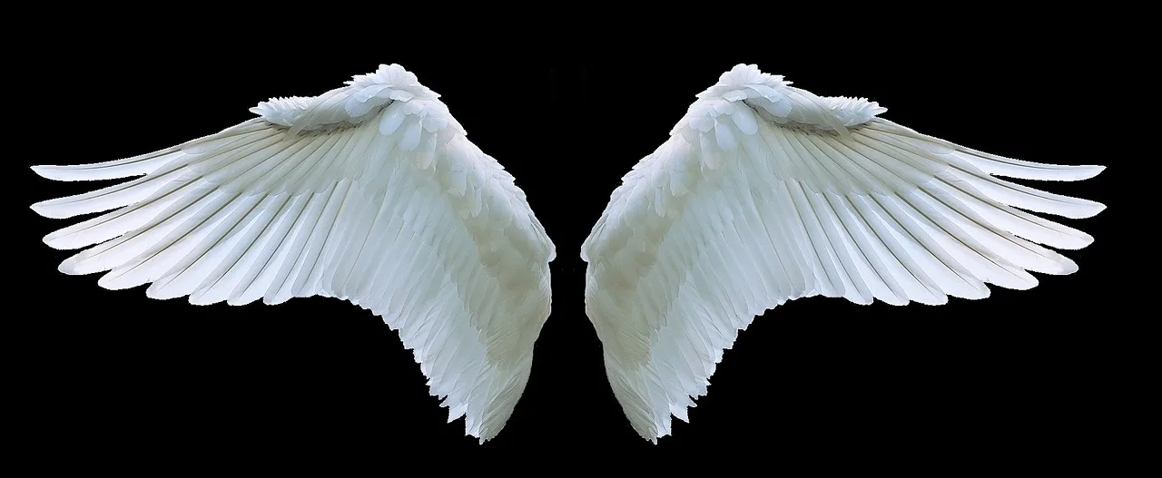 Les messages de nos anges gardiens ! Tout savoir !