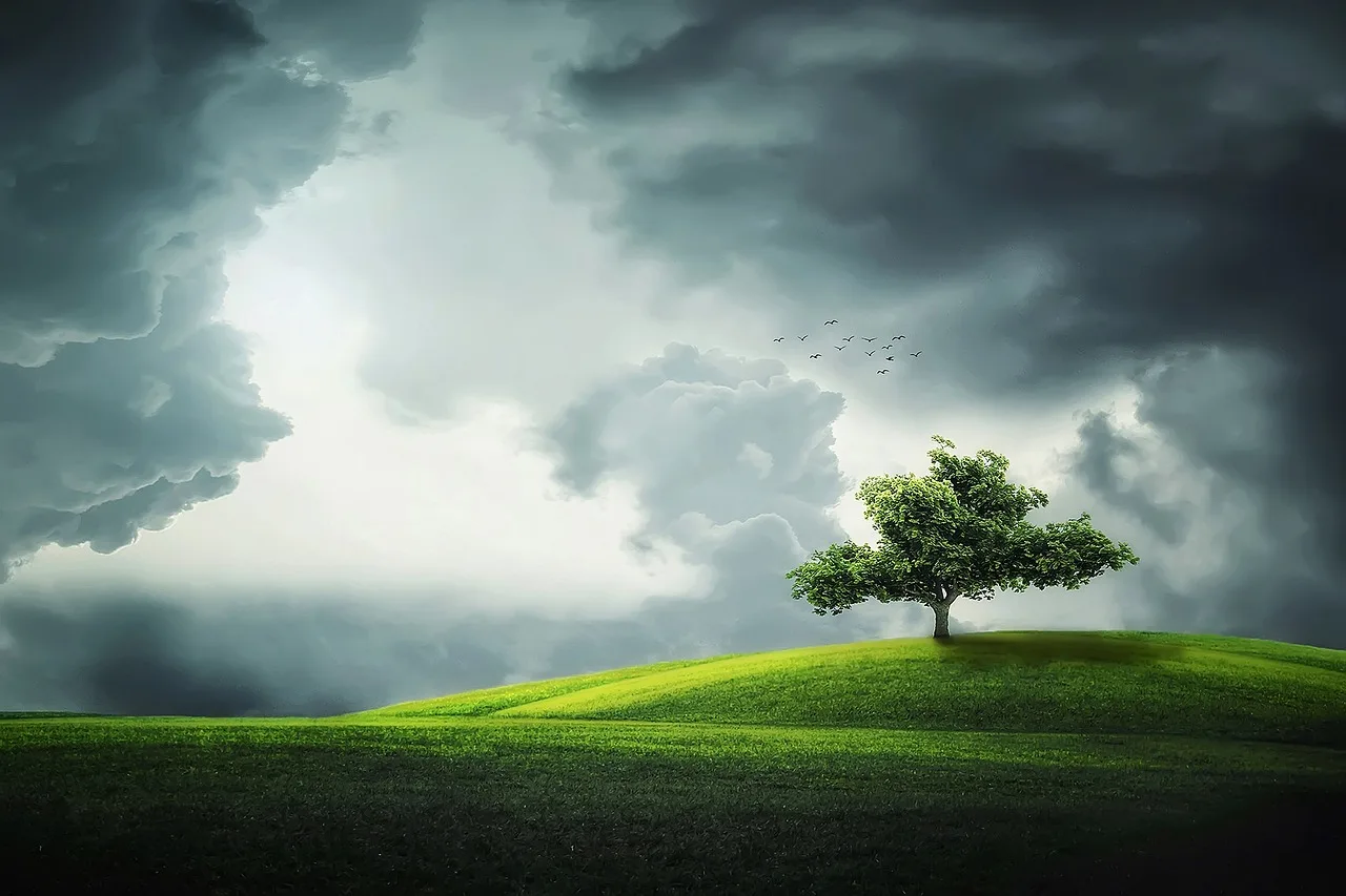 arbre-de-vie